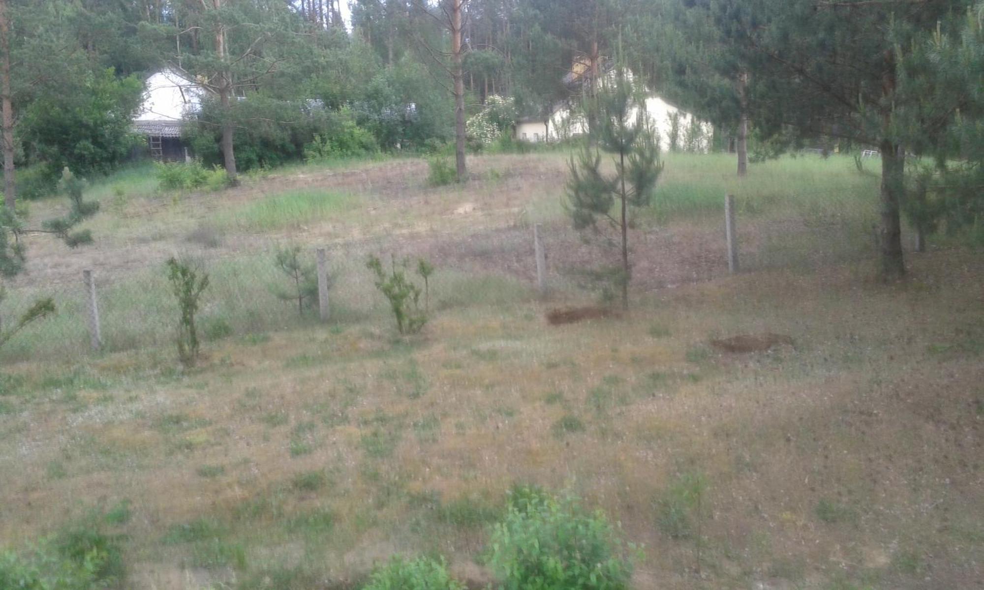Strekowizna Domek Lesna Przystan מראה חיצוני תמונה